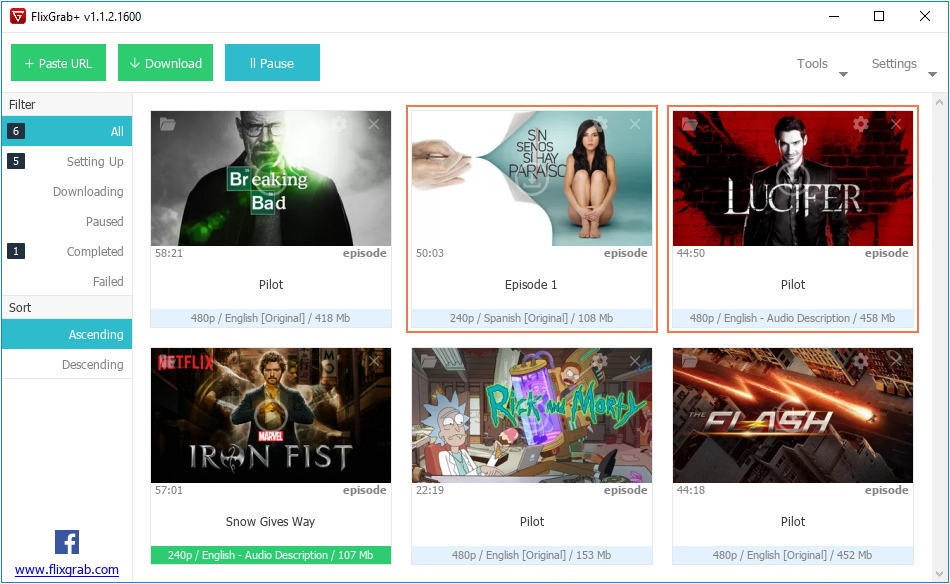 Netflix downloader